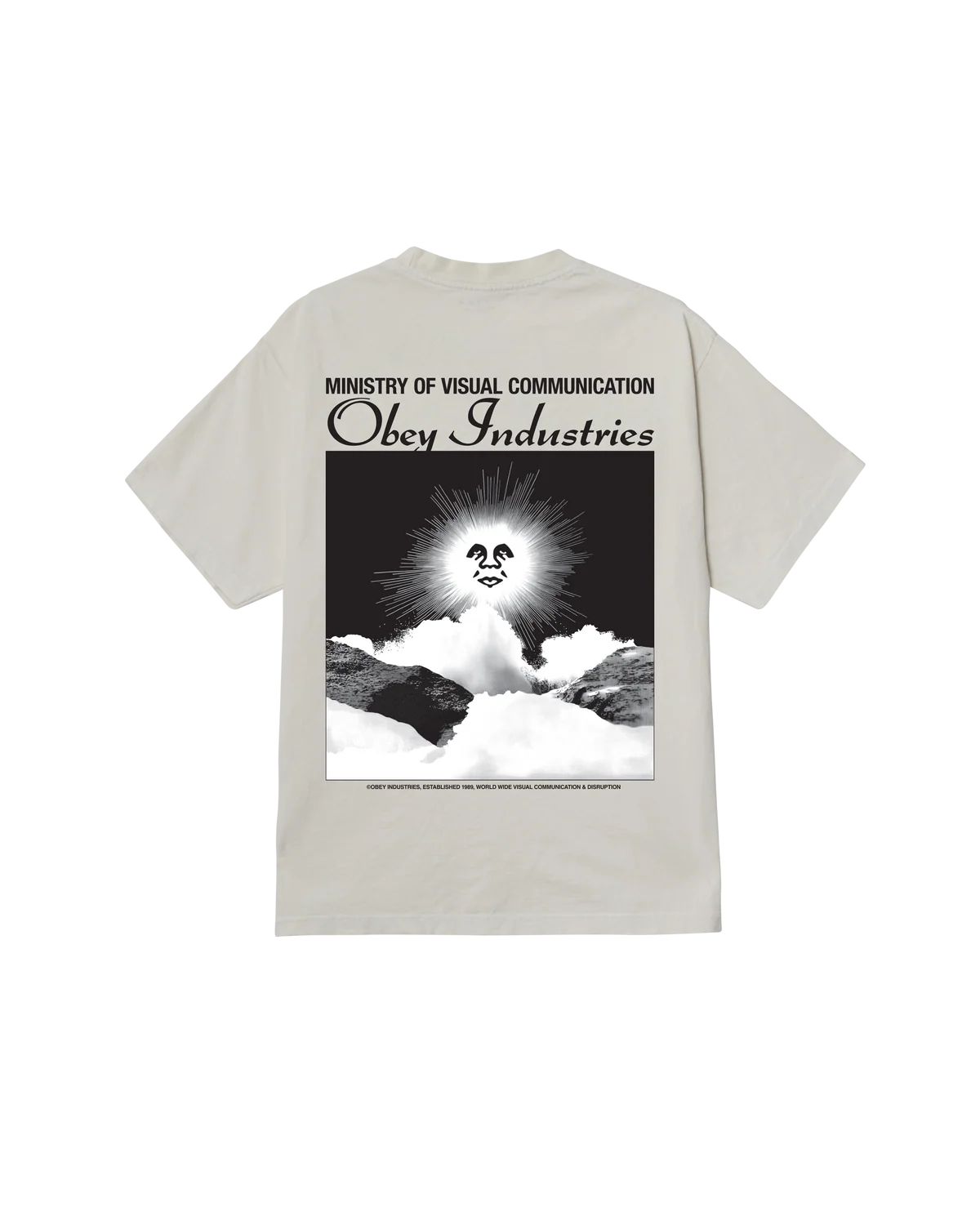 T-SHIRT CON GRAFICA IN COTONE GRIGIO ASH