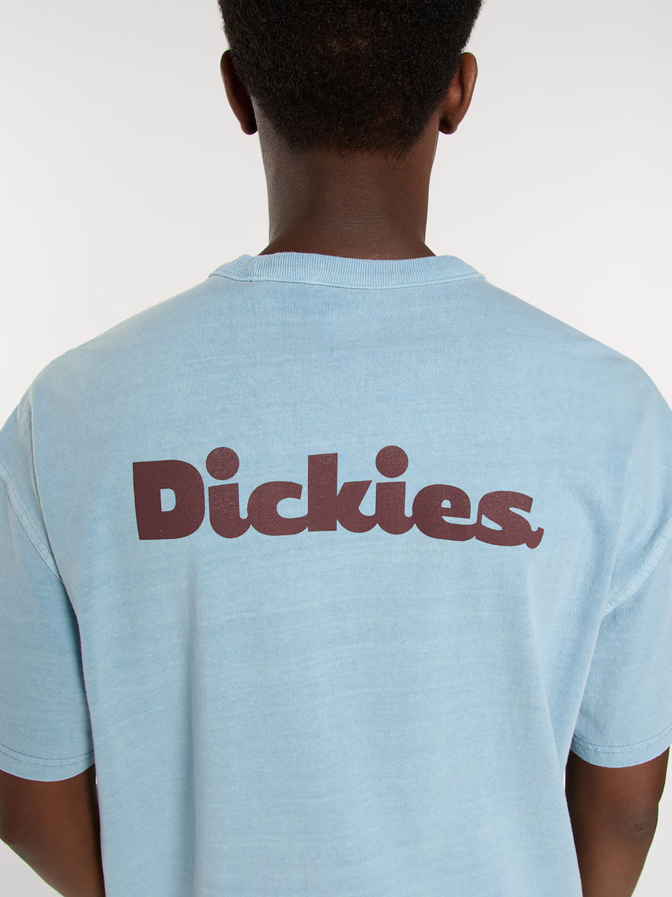 DICKIES - SLAYDEN GD TEE SS GLACIER LAKE
