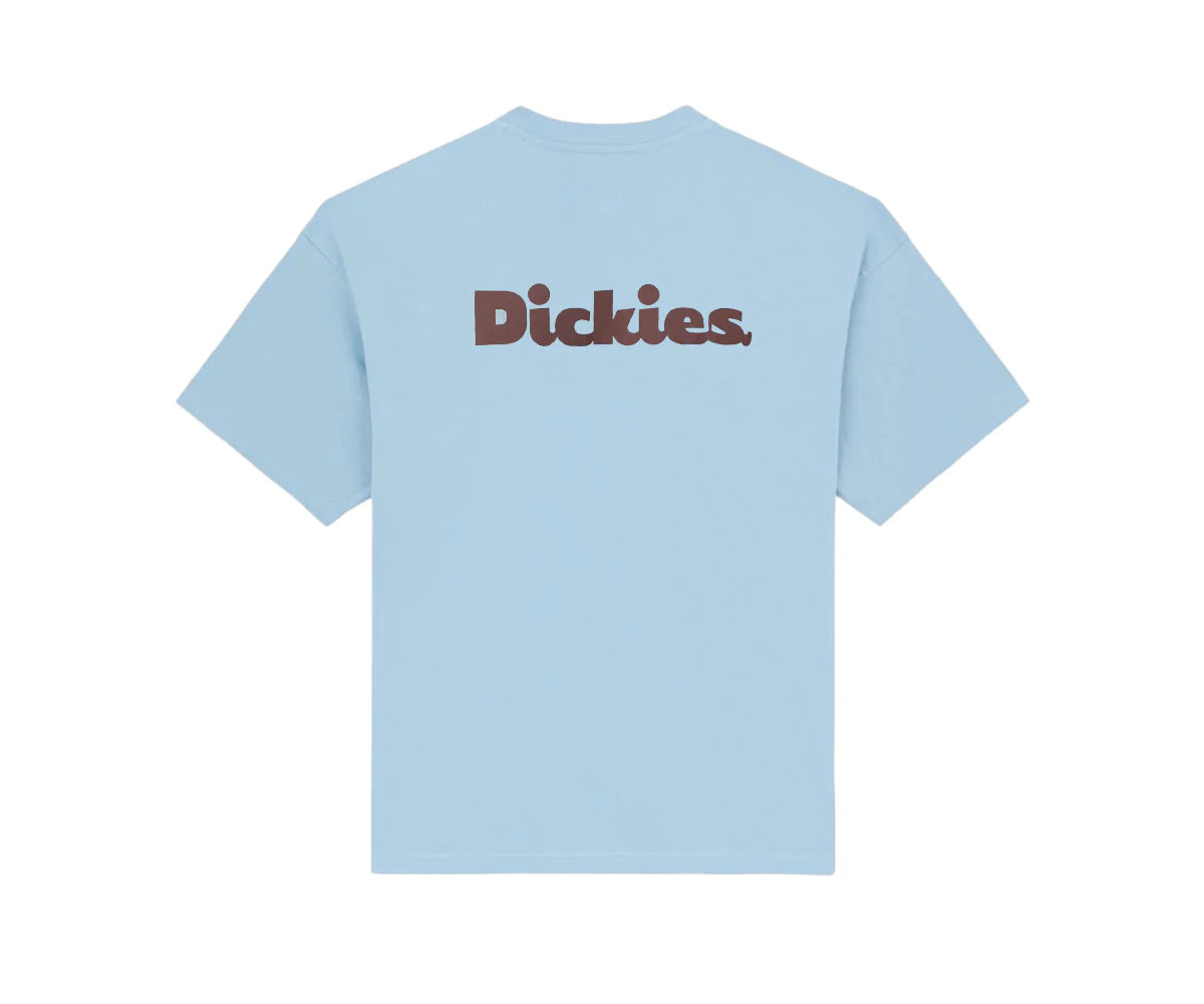 DICKIES - SLAYDEN GD TEE SS GLACIER LAKE