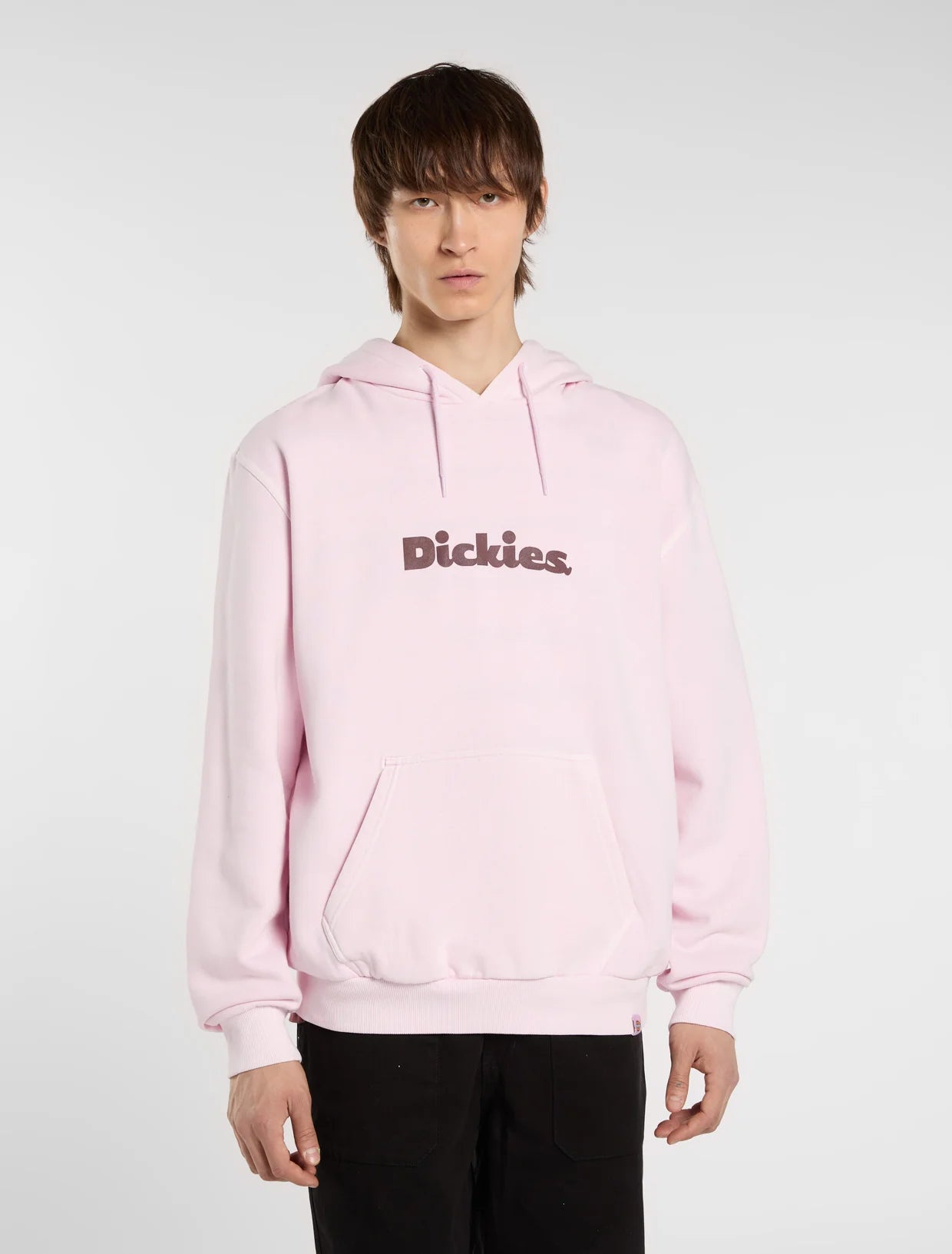 DICKIES - SLAYDEN GD HOODIE WINSOME ORCHID