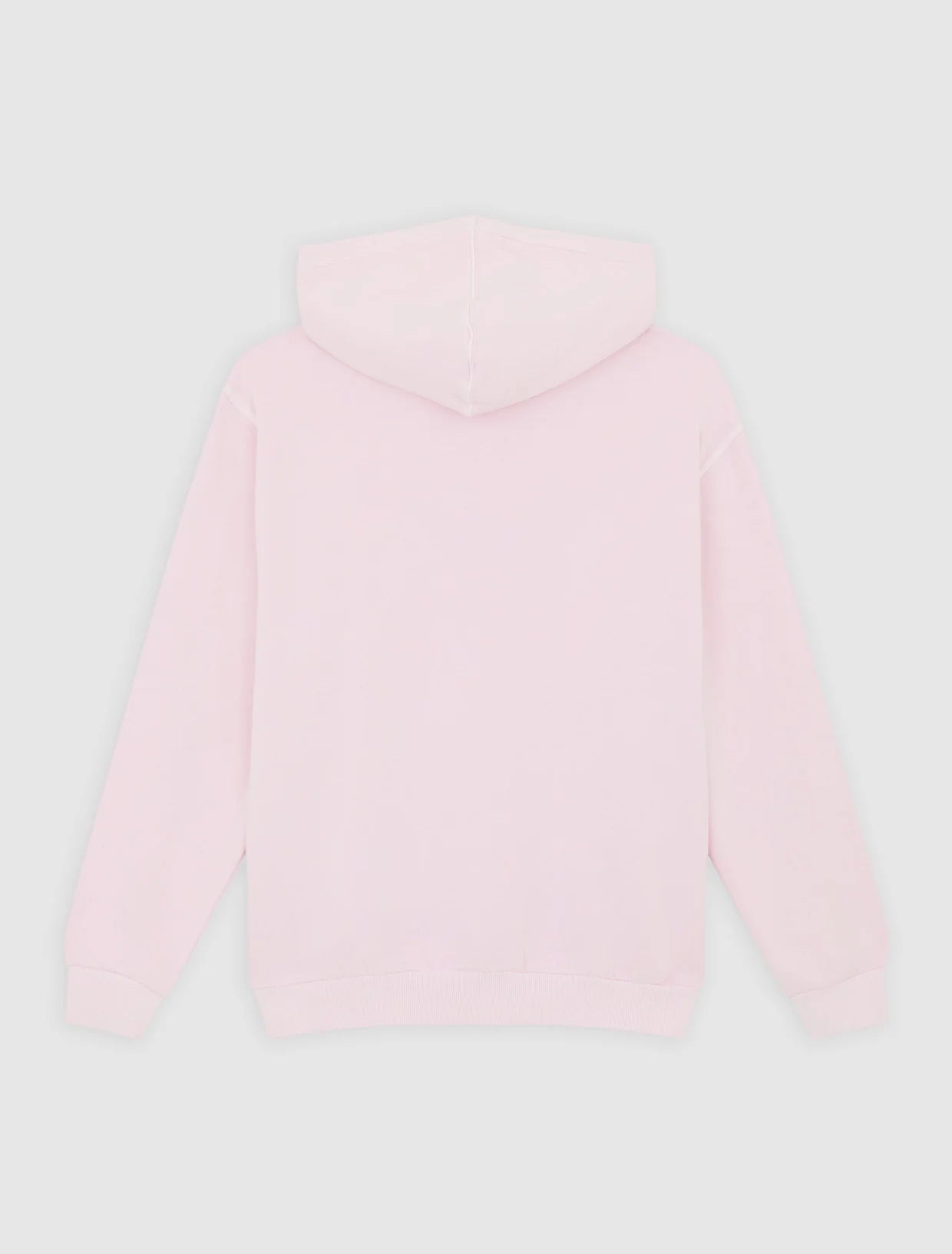 DICKIES - SLAYDEN GD HOODIE WINSOME ORCHID
