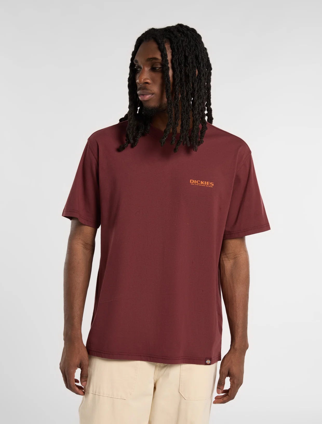 DICKIES - BURNS TEE SS ANDORRA