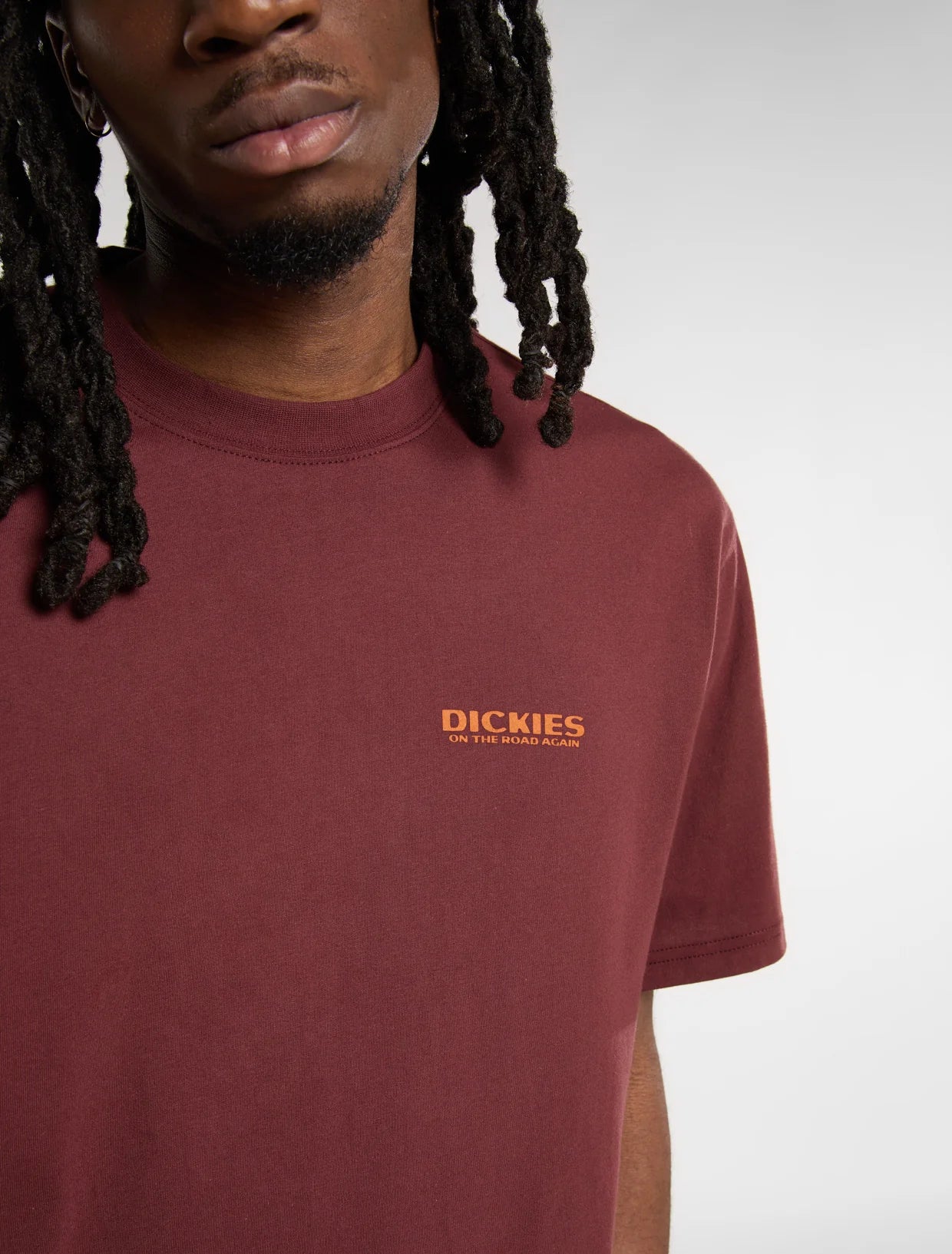 DICKIES - BURNS TEE SS ANDORRA