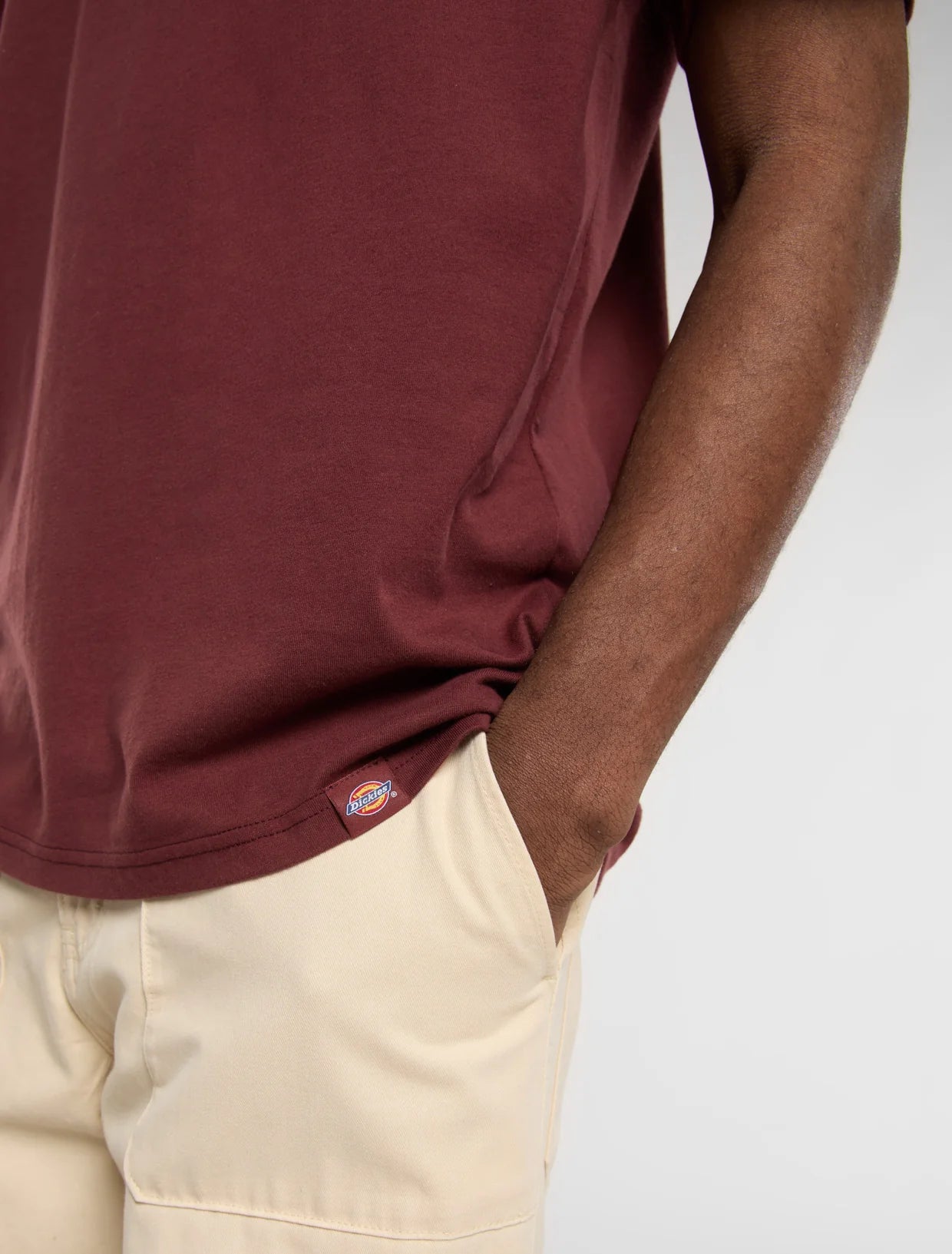 DICKIES - BURNS TEE SS ANDORRA