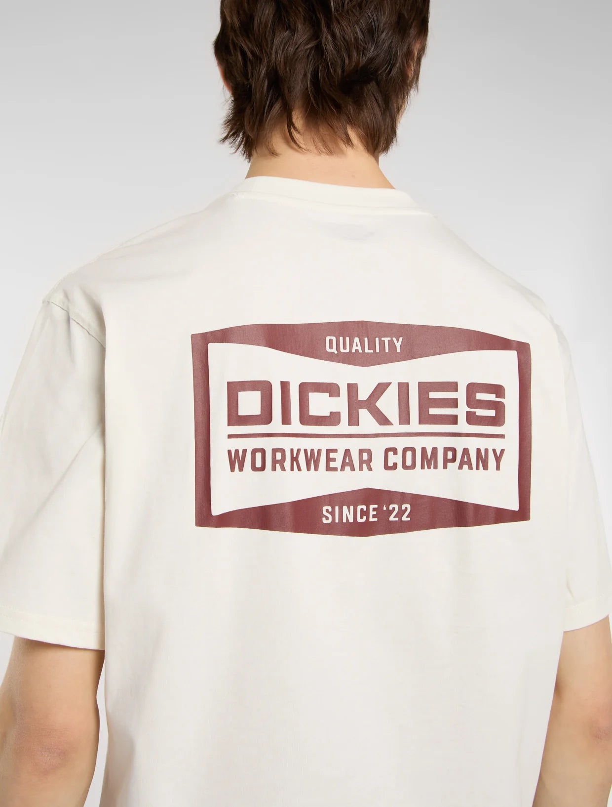 DICKIES - BOLIVAR TEE SS EGRET
