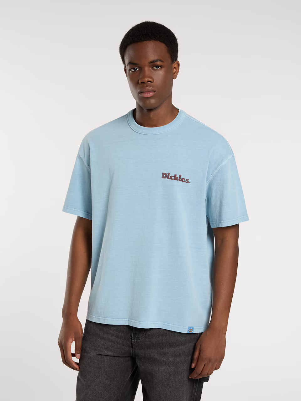 DICKIES - SLAYDEN GD TEE SS GLACIER LAKE