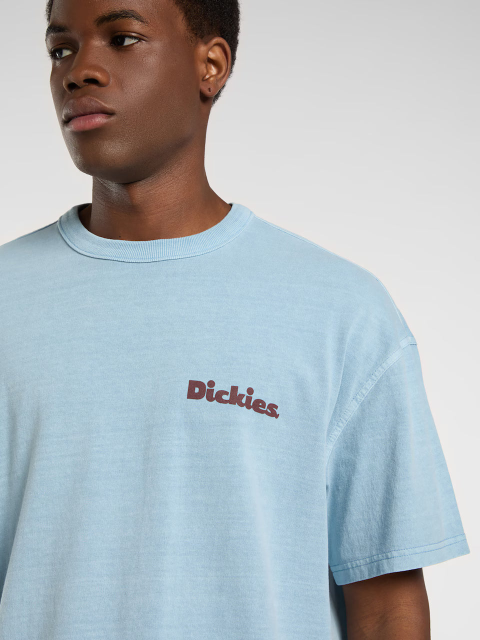 DICKIES - SLAYDEN GD TEE SS GLACIER LAKE