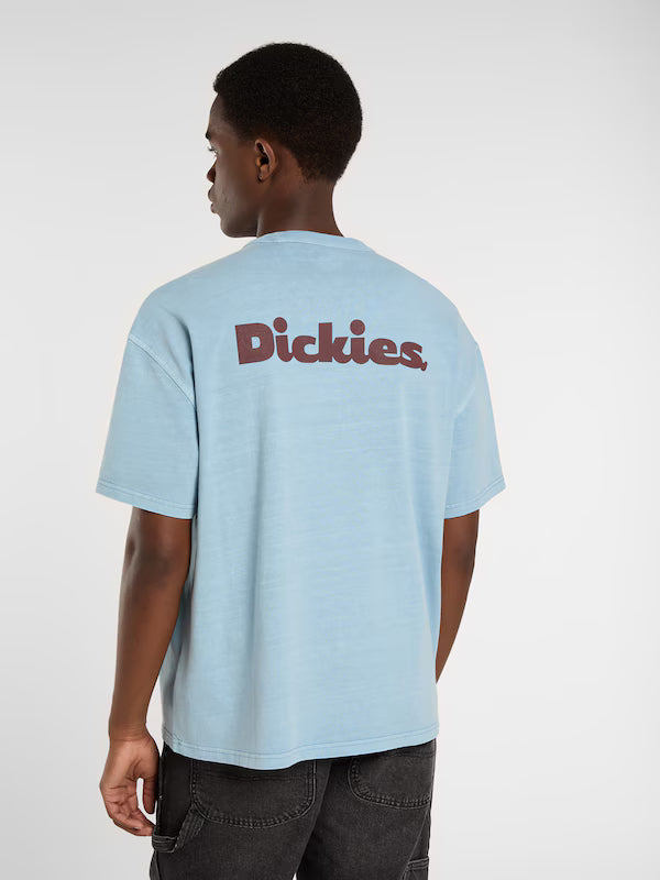 DICKIES - SLAYDEN GD TEE SS GLACIER LAKE